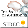 sidec webinar 120 sidec webinar 120