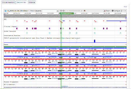 ClinVar screenshot Genome View