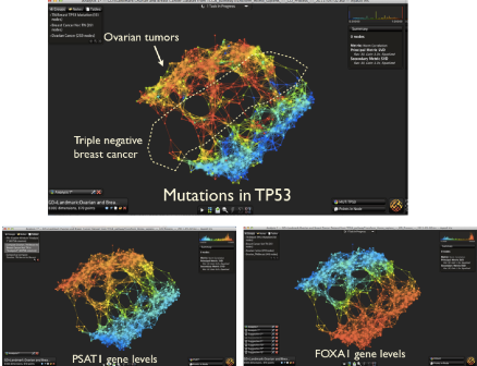 Ayasdi Maps breast ovarian