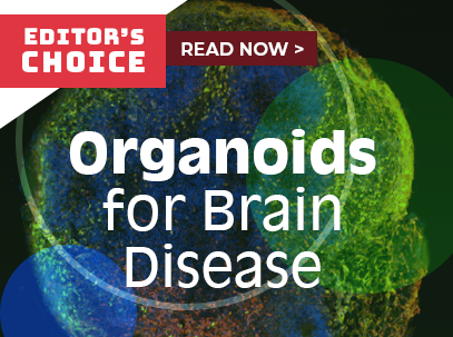 Organoids