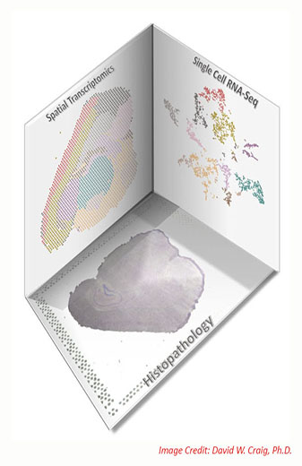 4-20SpatialGenomics